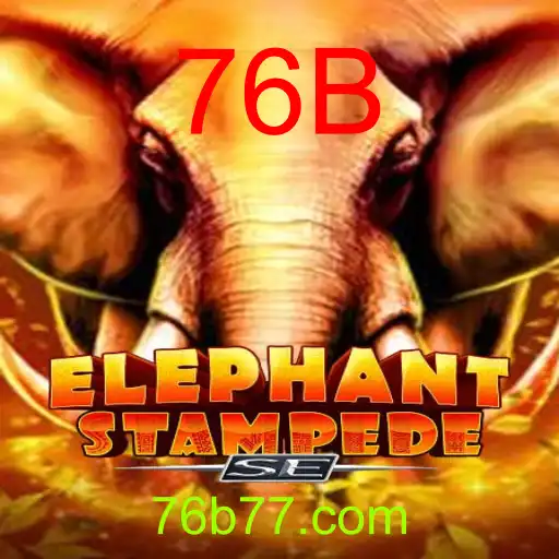 ElephantStampedeSE